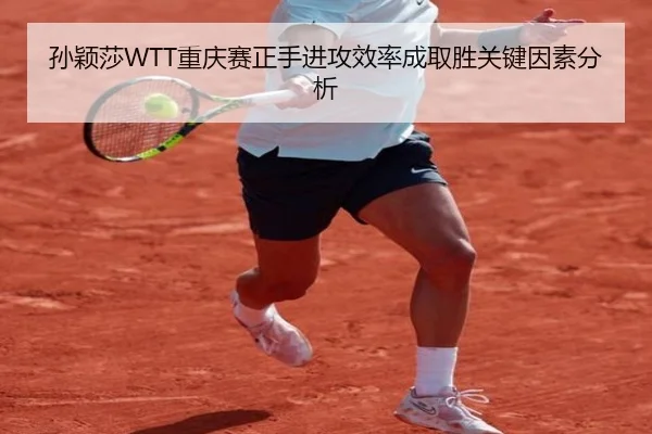 孙颖莎WTT重庆赛正手进攻效率成取胜关键因素分析