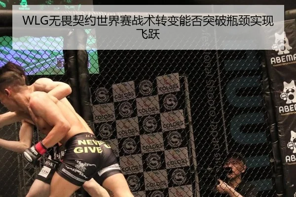 WLG无畏契约世界赛战术转变能否突破瓶颈实现飞跃