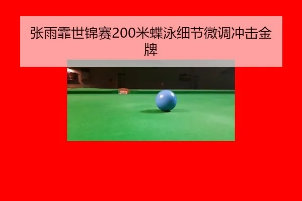 zhang-yu-fei-shi-jin-sai-mi-die-yong-xi-jie-wei-diao-chong-ji-jin-pai-2-195.jpg